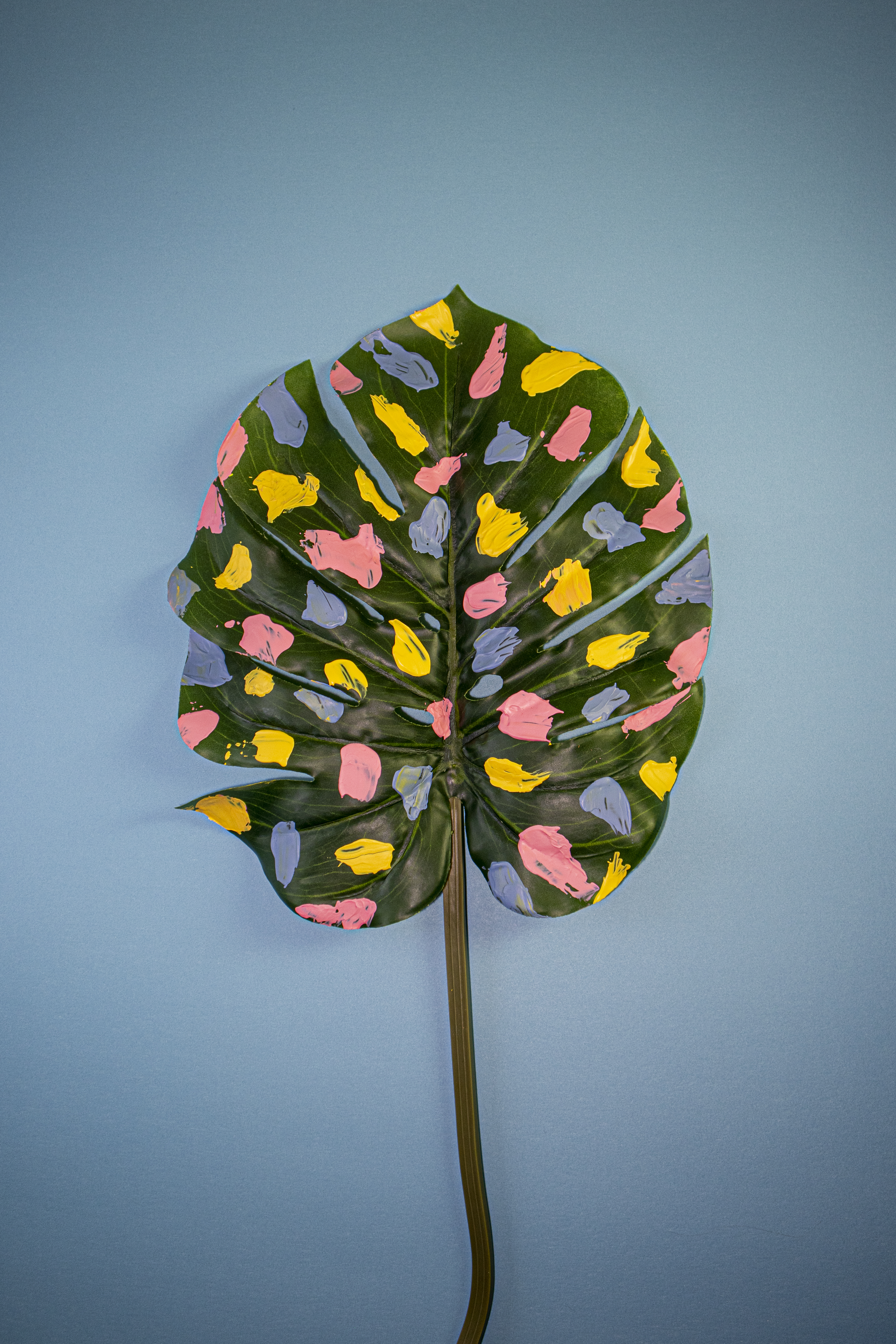 green leaf with pink, yellow and blue splats of paint on leaf with blue background